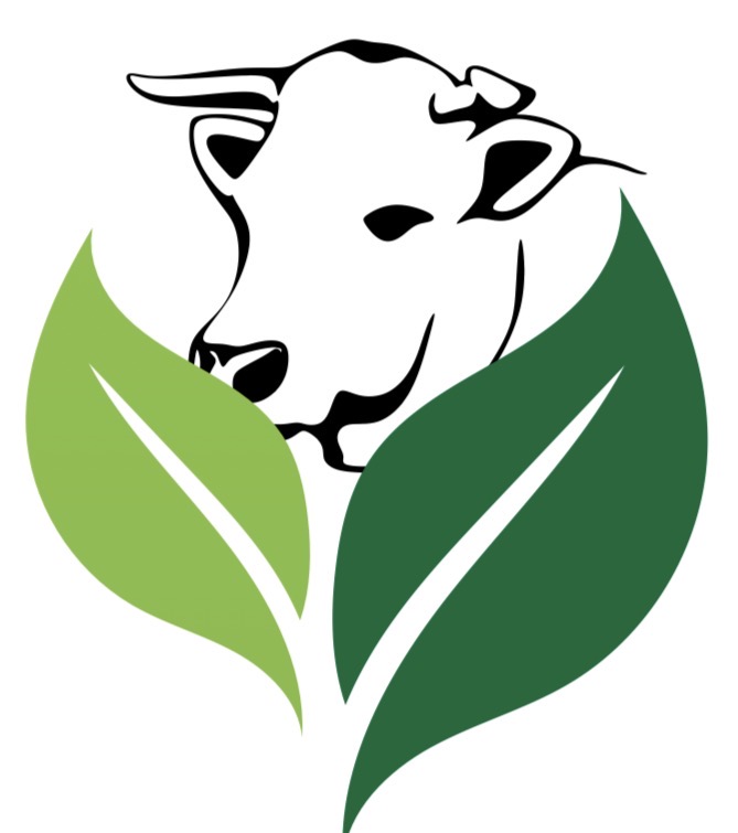 Iredamayo Global Limited